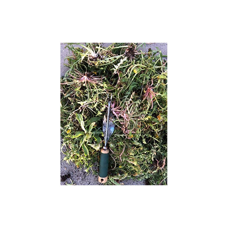 Edward Tools Weeding Tool - Leverage Metal Base Creates Perfect