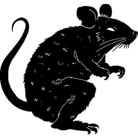 'Scary Rat' Rubber Stamp - Unmounted Design for Crafting & Scrapbooking, A8 (RS00050338)