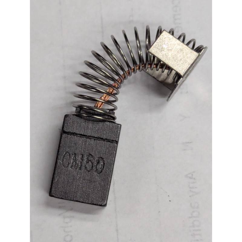 Leeson M1900010.14 Brush And Spring