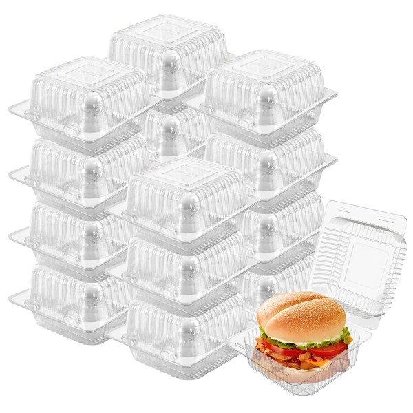 NOUOUIYT 250 Pack 5 x 5 inch Clear Plastic Disposable