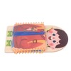 Learning to Dress Board Wooden Early Learning Basic Life Skills