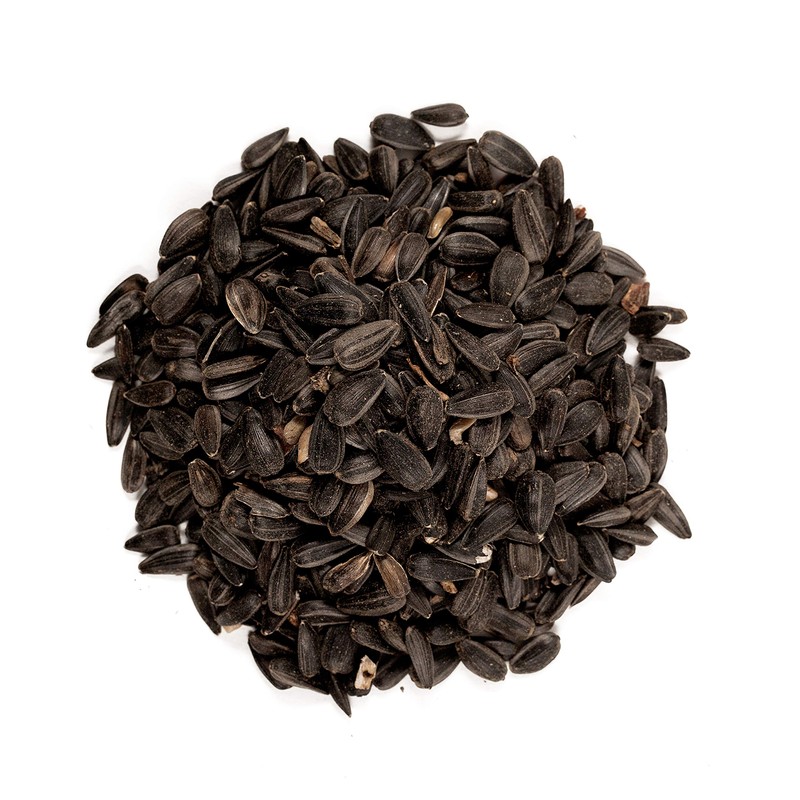 Wagner's 52023 Black Oil Sunflower Seed Wild Bird Food, 5-Pound