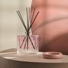 NEST New York Reed Diffuser, Himalayan Salt & Rosewater -