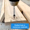 Forstner Drill Bit Set 15-35 mm with Storage Box, Hole