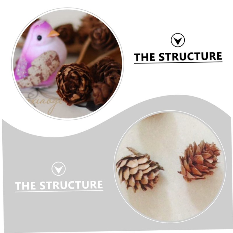 CAXUSD 50 Pcs Small Artificial Pine Cones Decorative Natural Pine