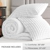 Plush & Plaid 2-Piece Twin Fluffy Fleece Comforter Set with
