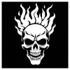 CAR Flame Skull Motorcycle Or Car Or Flat Surface Decal