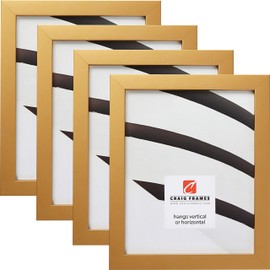 Craig Frames Confetti, 8 x 10 Inch Picture Frame, Modern Gold, Set of 4
