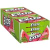 Bulk Pack Chewing Gum (Extra Sweet Watermelon, 180 pieces)