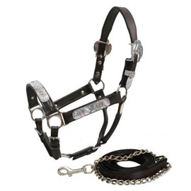 Showman Yearling Leather Show Halter w/Lead
