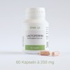 Lactoferrin 60 Capsules in Pure Form, 250 mg per Capsule,