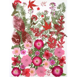 15 Types 48pcs Real Dried Pressed Flowers Leaf Plant Herbarium for DIY Resin Jewelry Making Floral Decors (Pink)