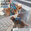 Escape Proof Dog Harness and Leash Set, Lightweight Dog Harness