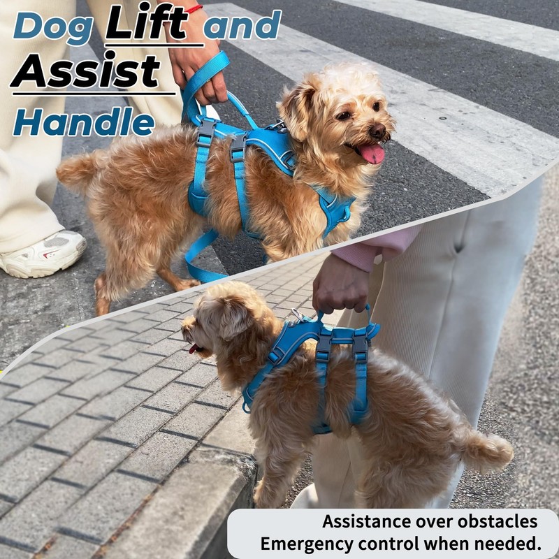 Escape Proof Dog Harness and Leash Set, Lightweight Dog Harness