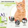 Zenpaws Cat Phermone Calming Spray - Quickly Relieve Stress -