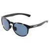 SWANS AMZ-ER5-0067 DMSM ER EAR Sunglasses, Made in Japan, Demi