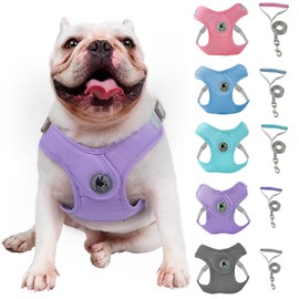 Dog Harness with Leash Set, No-Pull Pet Harness with 1 Leash Clips, Adjustable Soft Padded Pet Vest for Small Medium Dogs No Pull, Puppy Harness and Leash Set (Purple, S)
