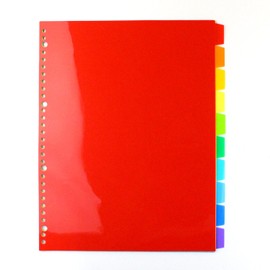 TAE Color Index PP IN-3410 A4 30 Hole 10 Pile