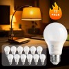 TJOY 24 Pack A19 LED Light Bulbs 9W Equivalent 60W