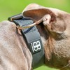 Bully Billows 5cm Pin Billowthane® Dog Collar - Waterproof, Anti-Rust,