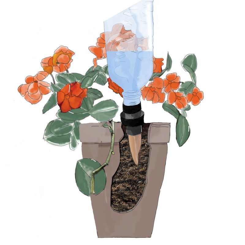 Windhager Automatic Water Dispenser, Bottle Adapter, Irrigation Aid, Irrigation System,