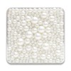 Tintone Pearl Cushion All-in-One Fit Glow Cover No. 21 Original