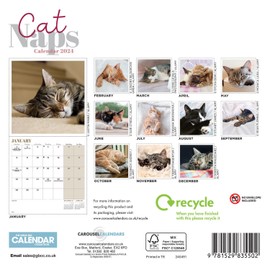 2024 Cat Naps Mini Wall Calendar