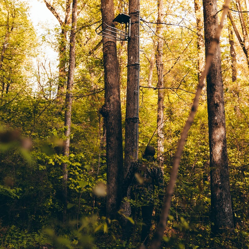 Rivers Edge® Big Foot™ 20’ Connected Stick, Tree Climbing System,