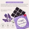 Magic Lavender Incense Bricks (2 x 9 Bricks) & Rainbow