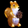 Feeric Lights et Christmas - Squirrel Illuminated for Outdoor Use,