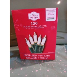Holiday Time Clear 100 Mini Lights With Green Wire Lighted 19.5 Ft New In Box.