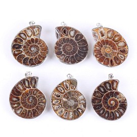 BOGEEL Natural Ammonite s Pendant Jewelry Silver Tone Ammonite s Stone Wrapped Pendant Necklace Fashion Jewelry