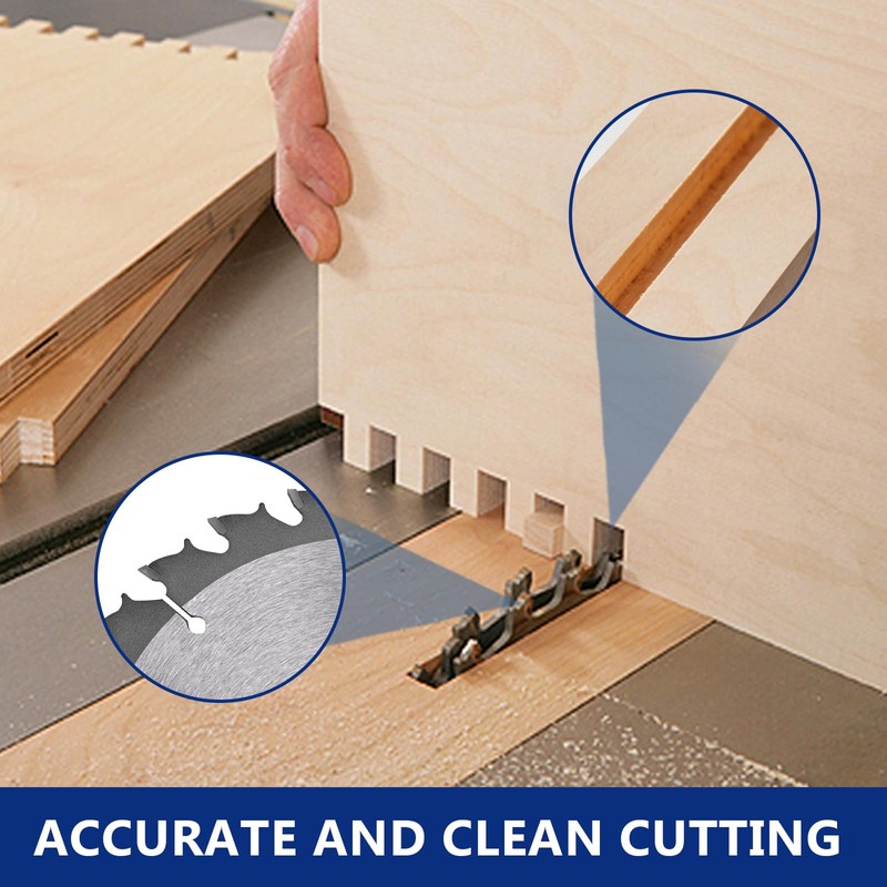 DOWOX Dado Blade Set, 8-Inch, 24-Tooth with 5/8-Inch Bore -