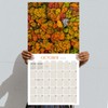 TF Publishing 2026 Trees Wall Calendar