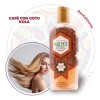 Shampoo Huichol Café Con Gotu Kola Revitalizante 250 Ml