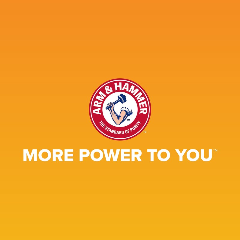 Arm & Hammer Cat Litter Pan Purrifying Pak, Removeable 30