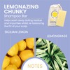 Lemonazing Chunky Shampoo Bar | Nourishing & Cleansing | Soften