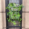 Artificial Rattan Tree Vines with Creeper Leaves Climbing Ivy Branches