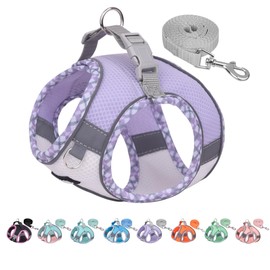 AIITLE Dog Harness No Choke Over, Step in Adjustable Dog Harness with a Leash, Breathable Mesh and Quick-Release Buckle - Outdoor Walking, Camping, Training for Medium Dogs Purple-White L