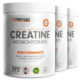 Creatine Monohydrate Powder, 3 kg/3000 g, Pure Creatine Monohydrate in Micronised Quality – Creatine Monohydrate, Optimal High Dose – Creatine Powder No Additives, 100% Vegan, for 876 Applications
