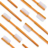 Wellsamed Wellsabrush Disposable Toothbrushes Impregnated with Toothpaste Orange Ideal for