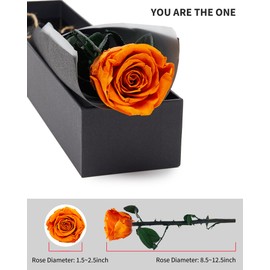 Valentines Day Gifts for Her,Valentines Rose Flowers Birthday Gifts for Women,Valentines Gifts for Wife,Preserved Rose, Preserved Flowers for Delivery Prime, Single Rose Real Rose - Dark Orange Rose