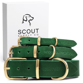 Scout Supply Classic Leather Dog Collar | Heavy Duty Thick Full Grain Leather | Waterproof & Rust-Proof Brass Hardware (Green, X Large)