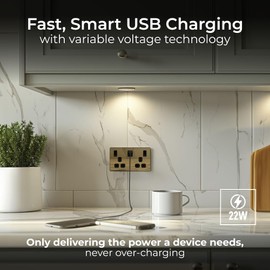 BG Electrical Double Switched Power Wall Plug Socket with Fast Charge Type A and Type C USB Charging Ports, Evolve, Satin Brass, 13A, 22W, PCDSB22UAC22B
