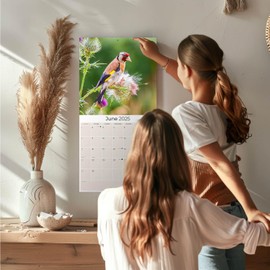 2024 2025 Garden Birds - Bird Watcher Monthly Wall Calendar - 12 x 24 Open - Thick No-Bleed Paper - Giftable - Academic Teacher's Planner Calendar Organizing & Planning