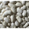 Greek Gigante Bean Fasolia Gigantes Plaki Heirloom Seeds for Planting