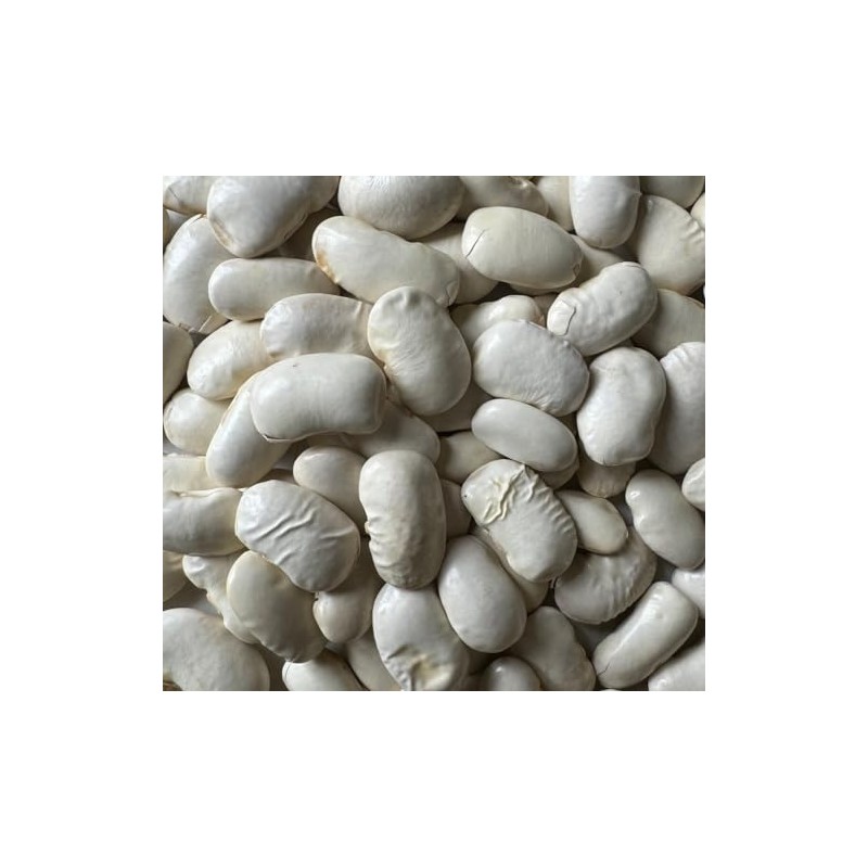 Greek Gigante Bean Fasolia Gigantes Plaki Heirloom Seeds for Planting