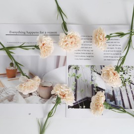 ICBOX Champagne Carnation Artificial Flowers 15pcs Fake Carnation Champagne Silk Flowers with Stems for Home Decor Wedding Bridal Bouquet Anniversary Birthday Floral Arrangements (Champagne