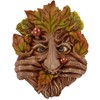 Fiesta Studios Cheeky Mouth Treant Face Wall Plaque Garden Greenman Decorative Gift Decor. 17cm