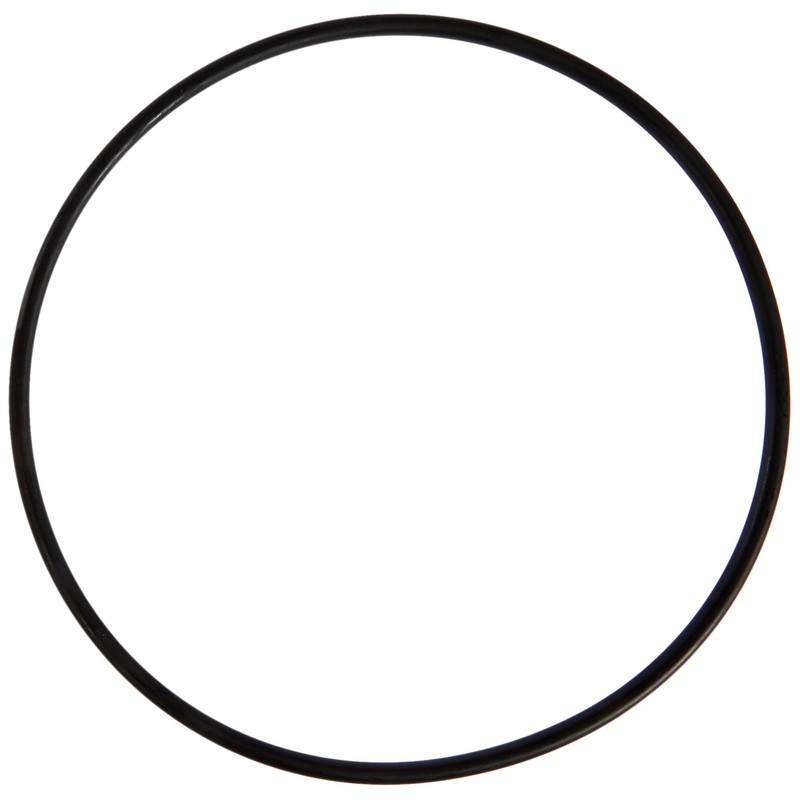 Fluval Motor Seal Ring Gasket for Canister Filters, Aquarium Filter